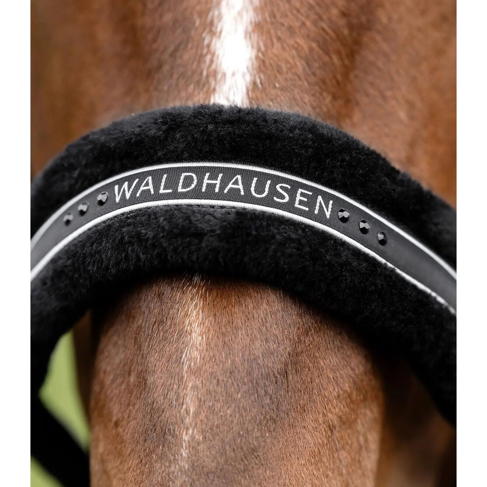 Halster voor bontpaard Waldhausen Elegant 3/3