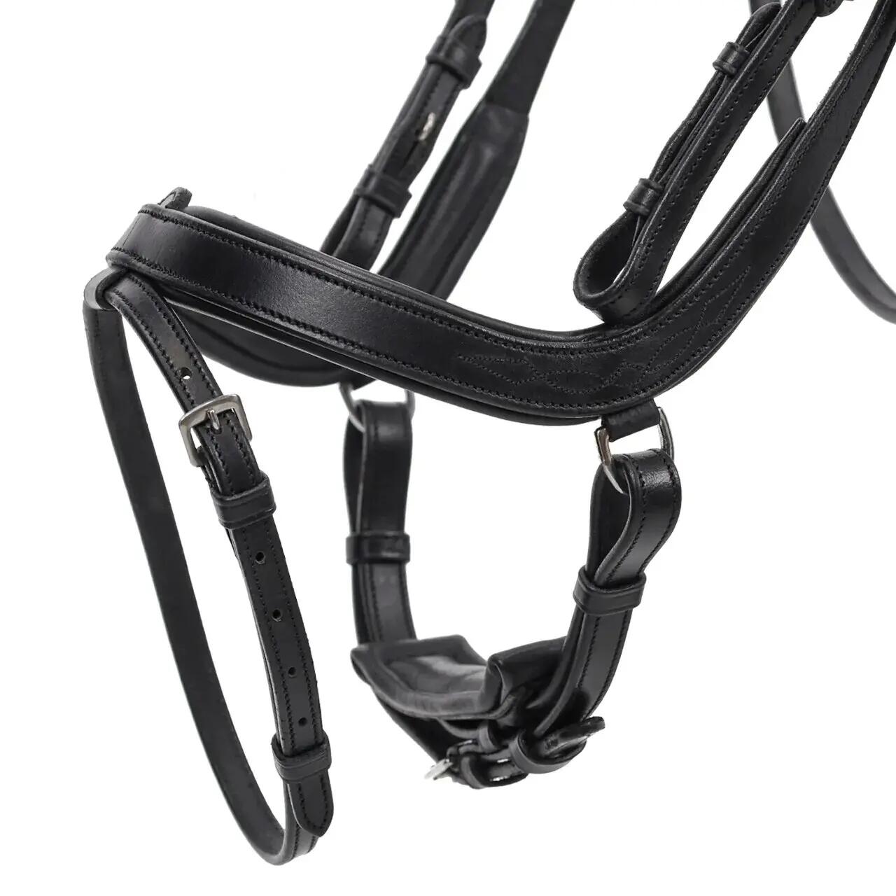 Bridon équitation pour cheval QHP Salerno 2/5