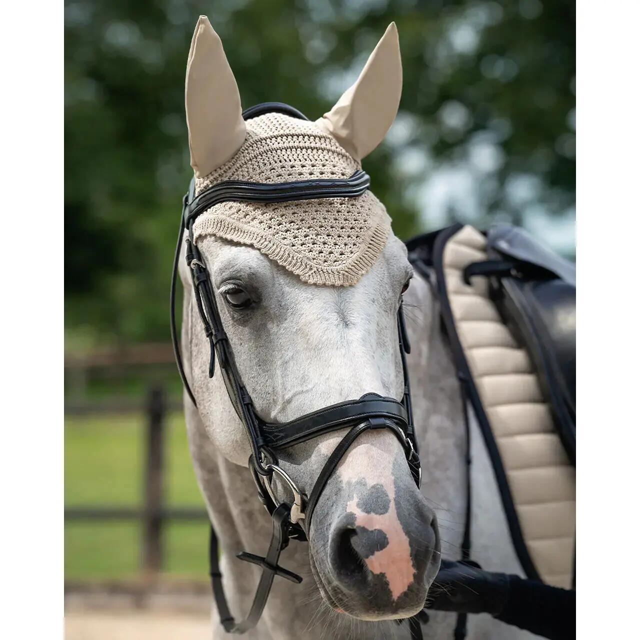Bridon équitation pour cheval QHP Salerno 5/5