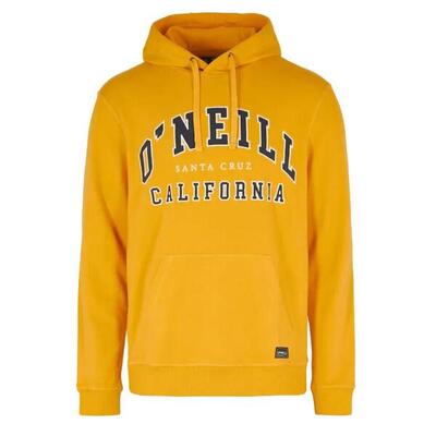 Sportieve hoodie met capuchon voor heren o'neill surf