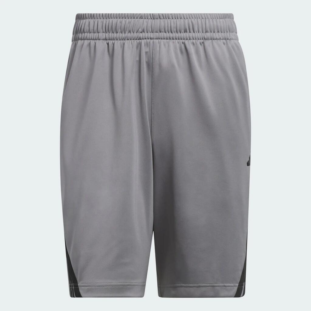 GREY / BLACK