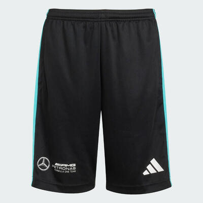 Mercedes - amg petronas formula one team dna short