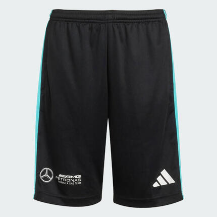 MERCEDES - AMG PETRONAS FORMULA ONE TEAM DNA SHORTS