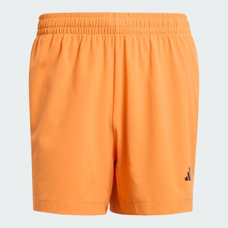Pantaloni Scurți D4T Essentials
