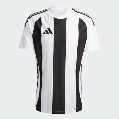 Maglia Striped 24