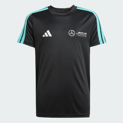 Mercedes - amg petronas formula one team dna t-shirt