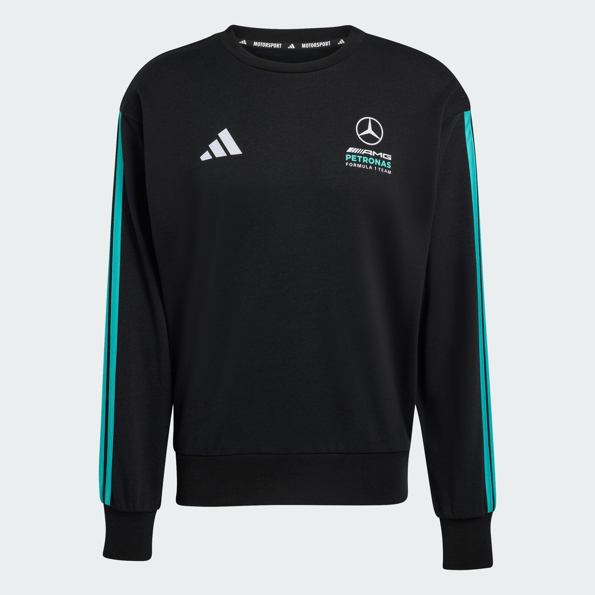 SWEAT-SHIRT MERCEDES - AMG PETRONAS FORMULA 1 TEAM DNA 2/6