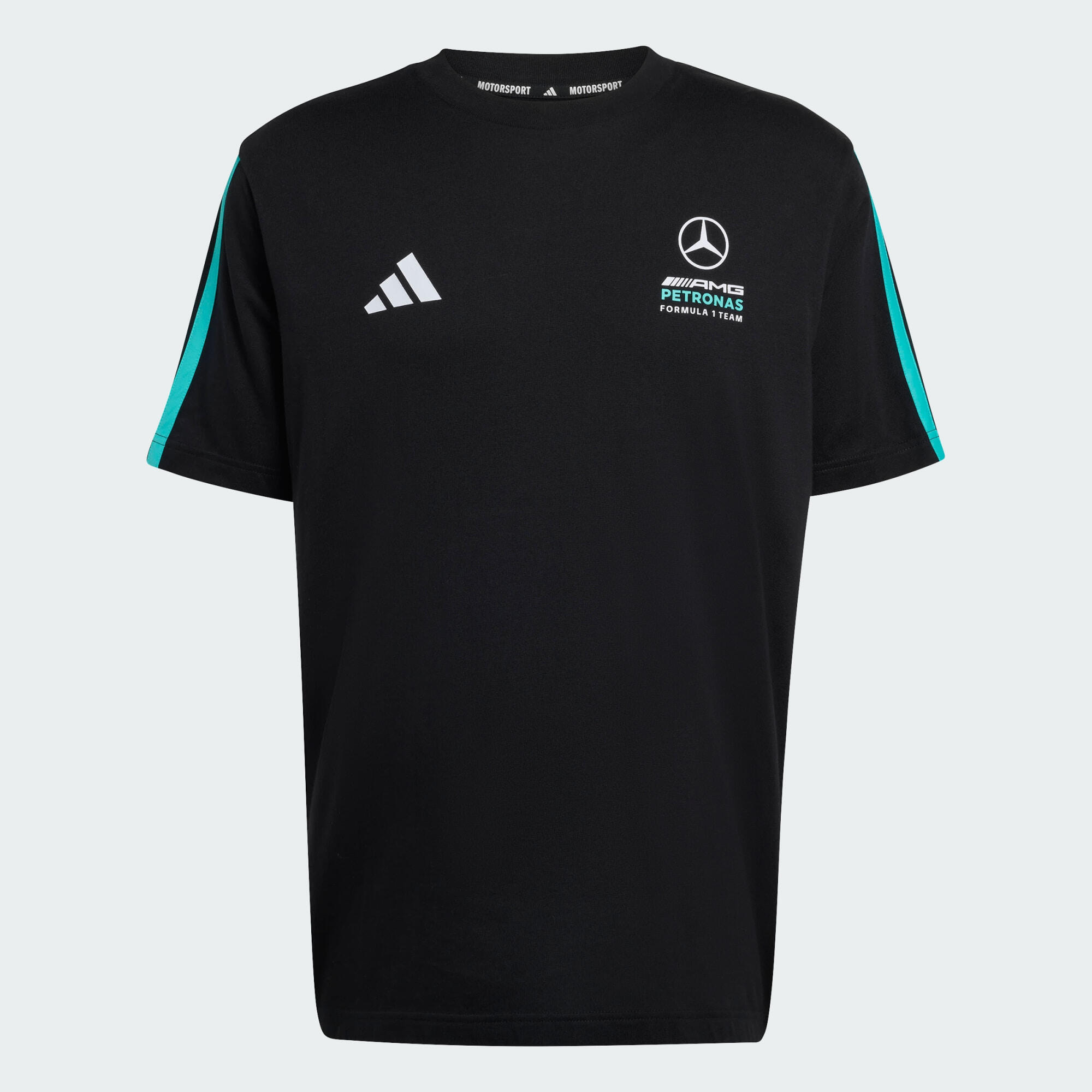 CAMISETA MERCEDES - AMG PETRONAS FORMULA 1 TEAM DNA 2/7