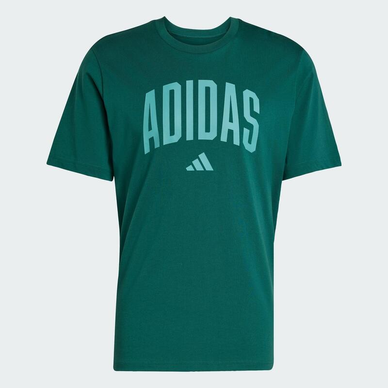 Tricou Collegiate Lineage Graphic
