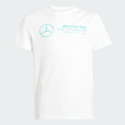 Mercedes - amg petronas formula one team dna graphic t-shirt