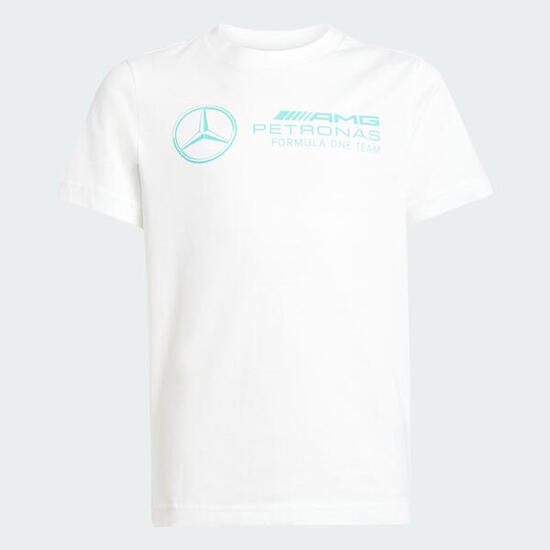 MERCEDES - AMG PETRONAS FORMULA ONE TEAM DNA GRAPHIC T-SHIRT