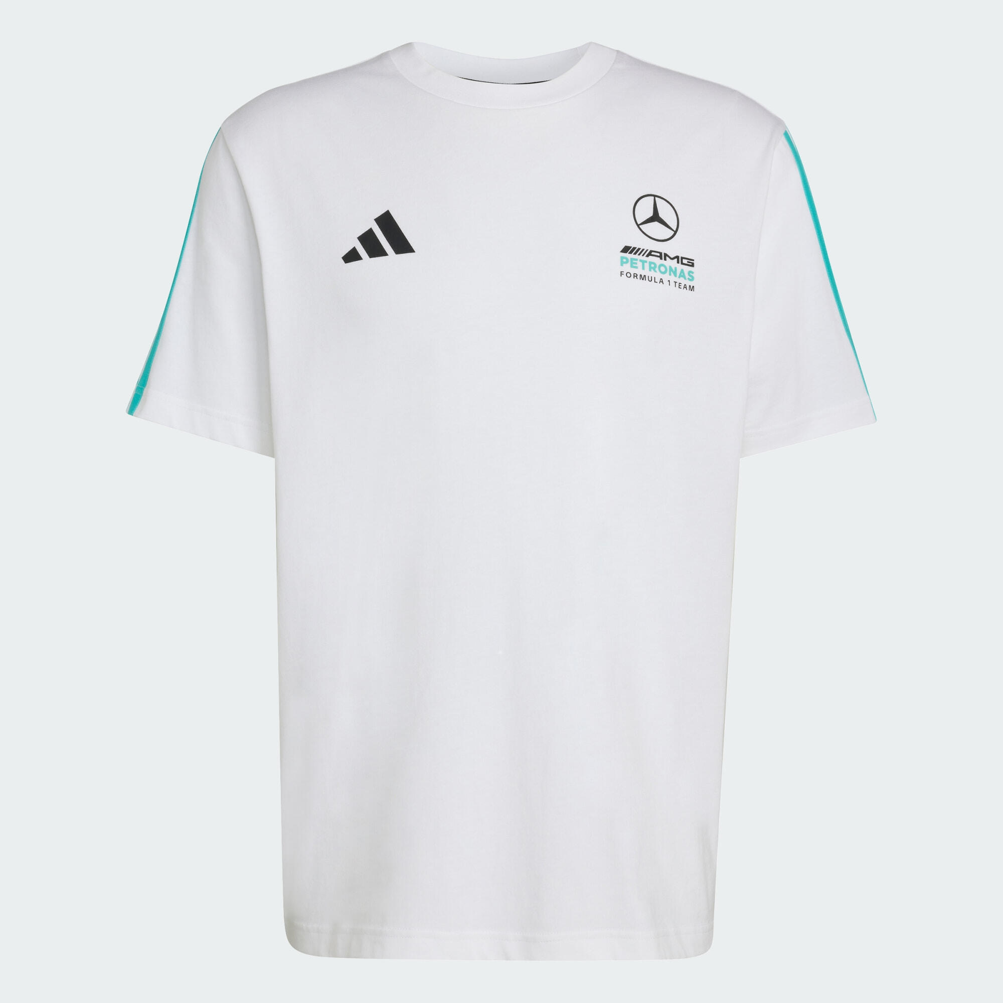 T-SHIRT MERCEDES - AMG PETRONAS FORMULA 1 TEAM DNA 2/8