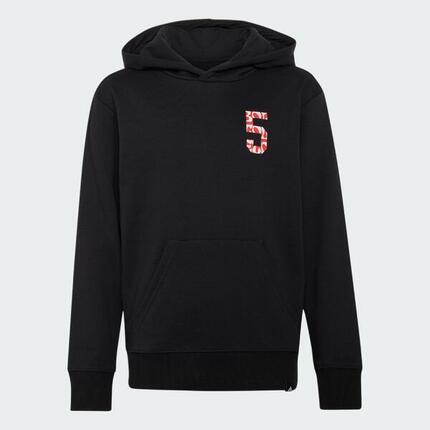 HOODIE AUDI REVOLUT F1 TEAM GABRIEL BORTOLETO GRAPHIC II