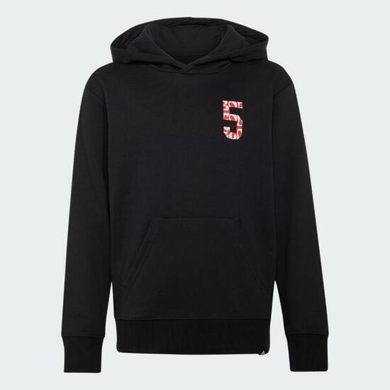 HOODIE AUDI REVOLUT F1 TEAM GABRIEL BORTOLETO GRAPHIC II