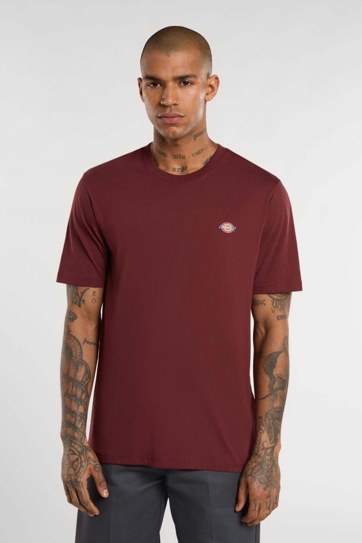 T-shirt uomo Dickies DK0A4XDBL161 5/5