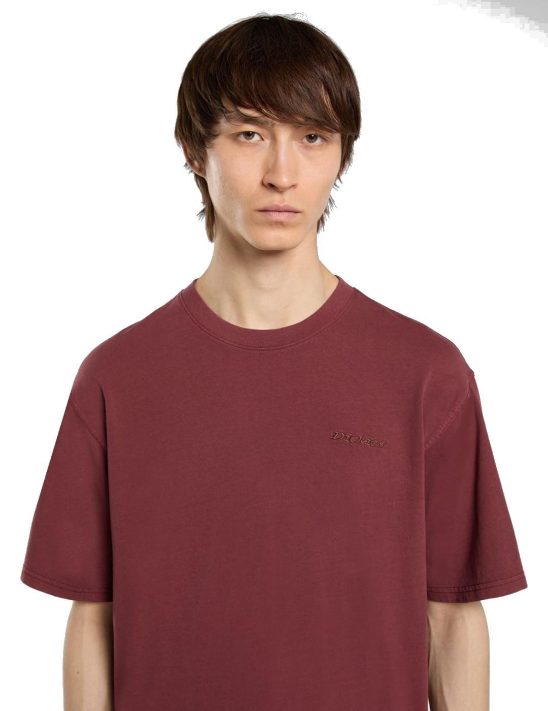 T-shirt Bordeaux Homme Dickies Plentywood 3/5