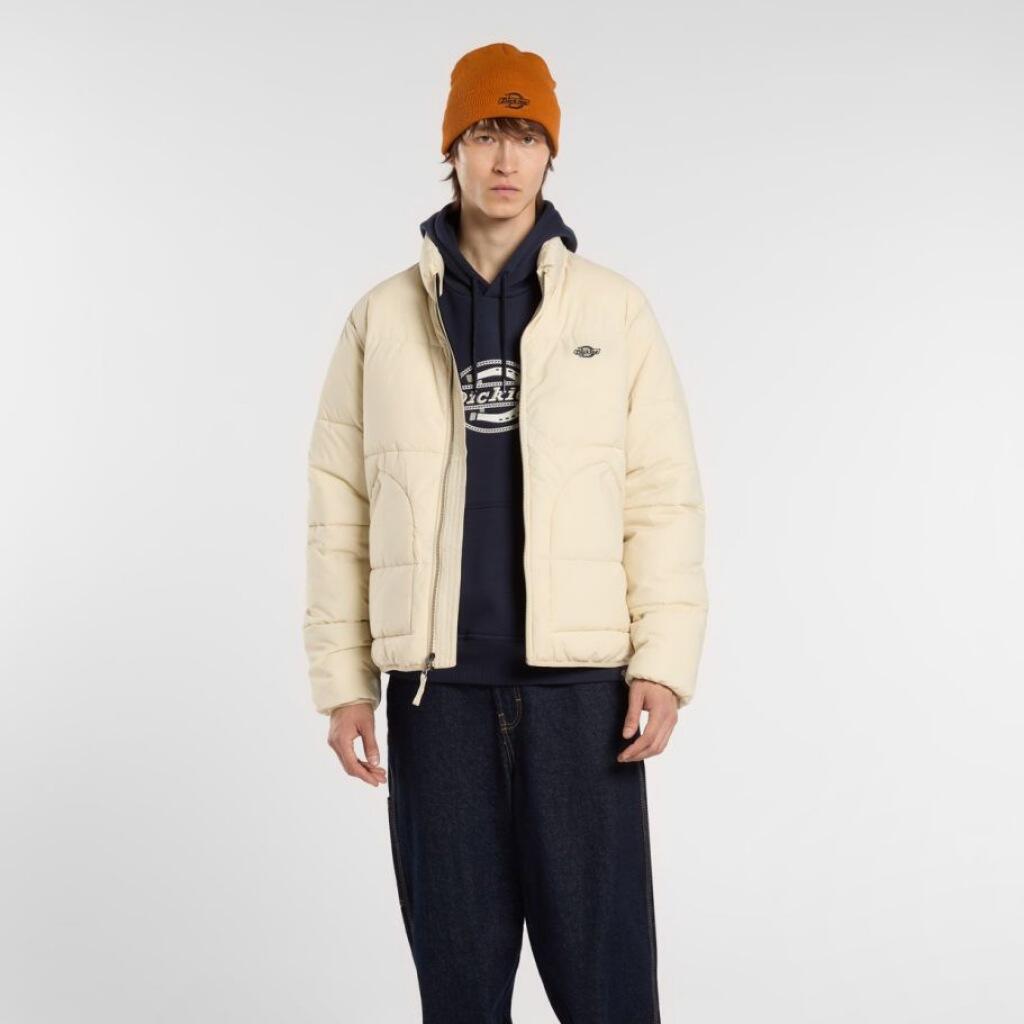 Maillot et sweat à capuche pour homme Dickies, marine 4/6