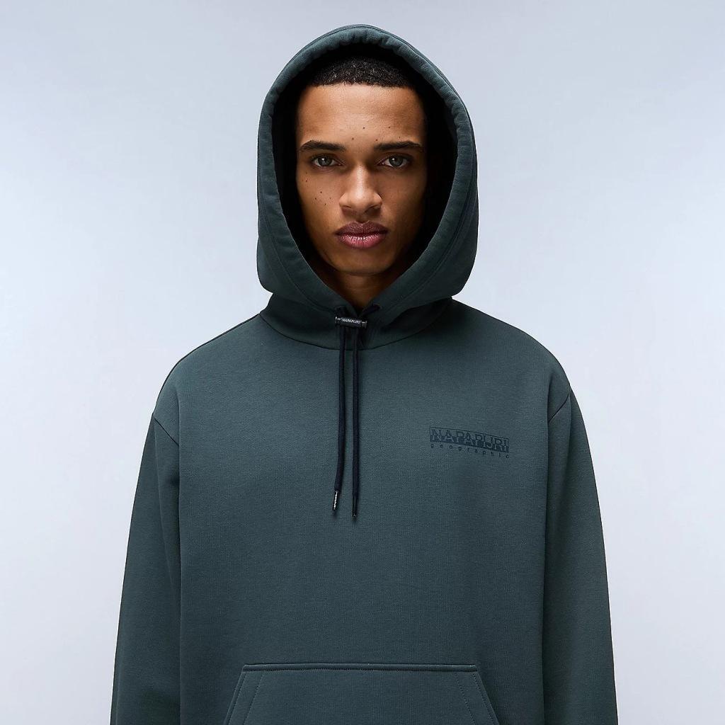 Sudadera con capucha Napapijri B-Albula 4/5