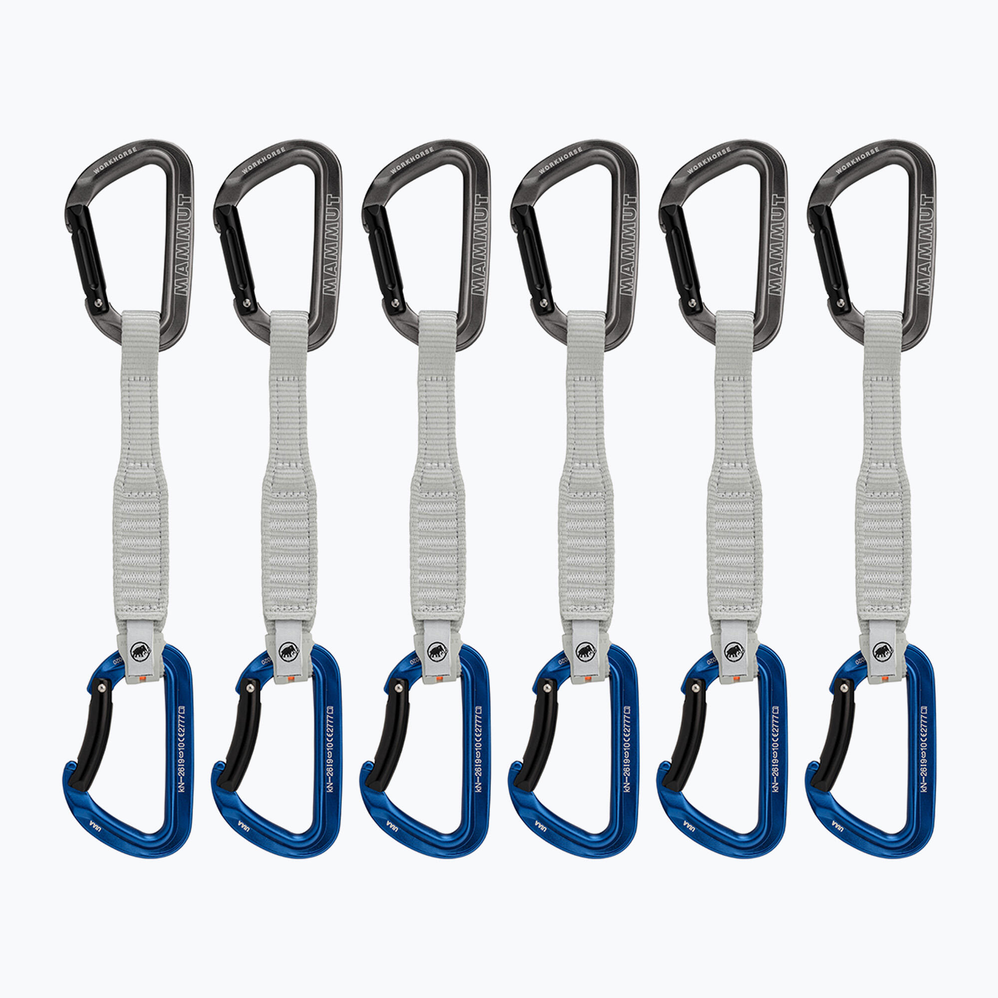 MAMMUT picture