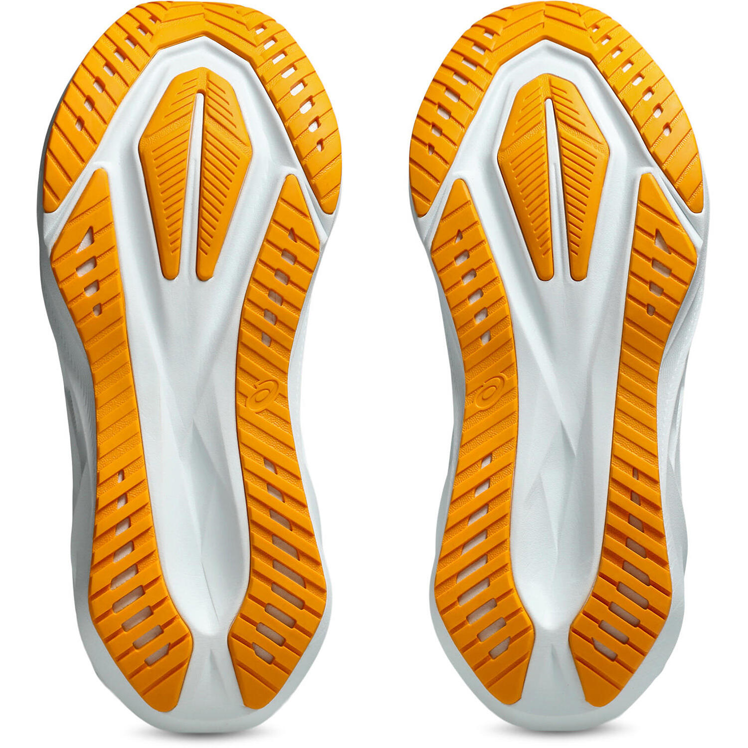 Sapatos De Running Asics Novablast 5 Adulto 6/7