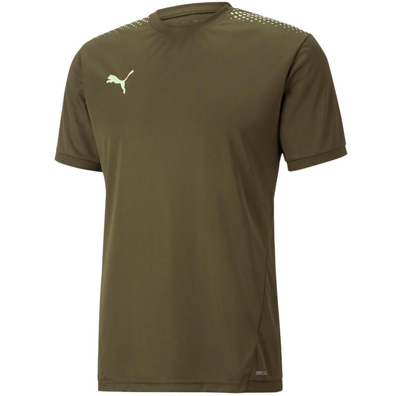 PUMA picture