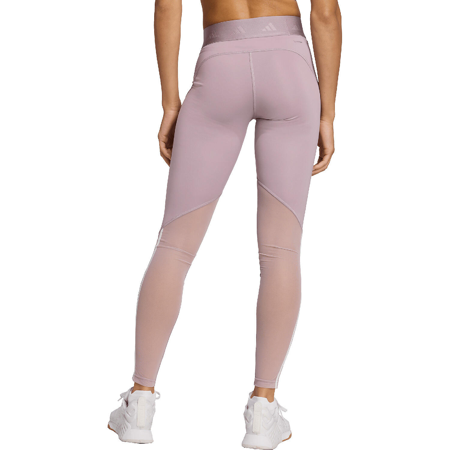 Damen Tight HYGLM 1/1 L 3/5