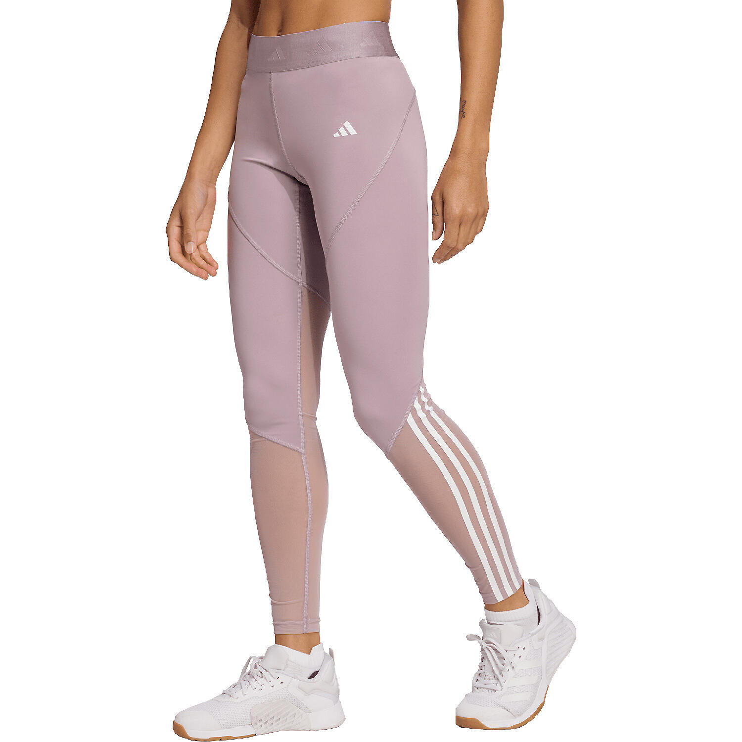 Damen Tight HYGLM 1/1 L 2/5