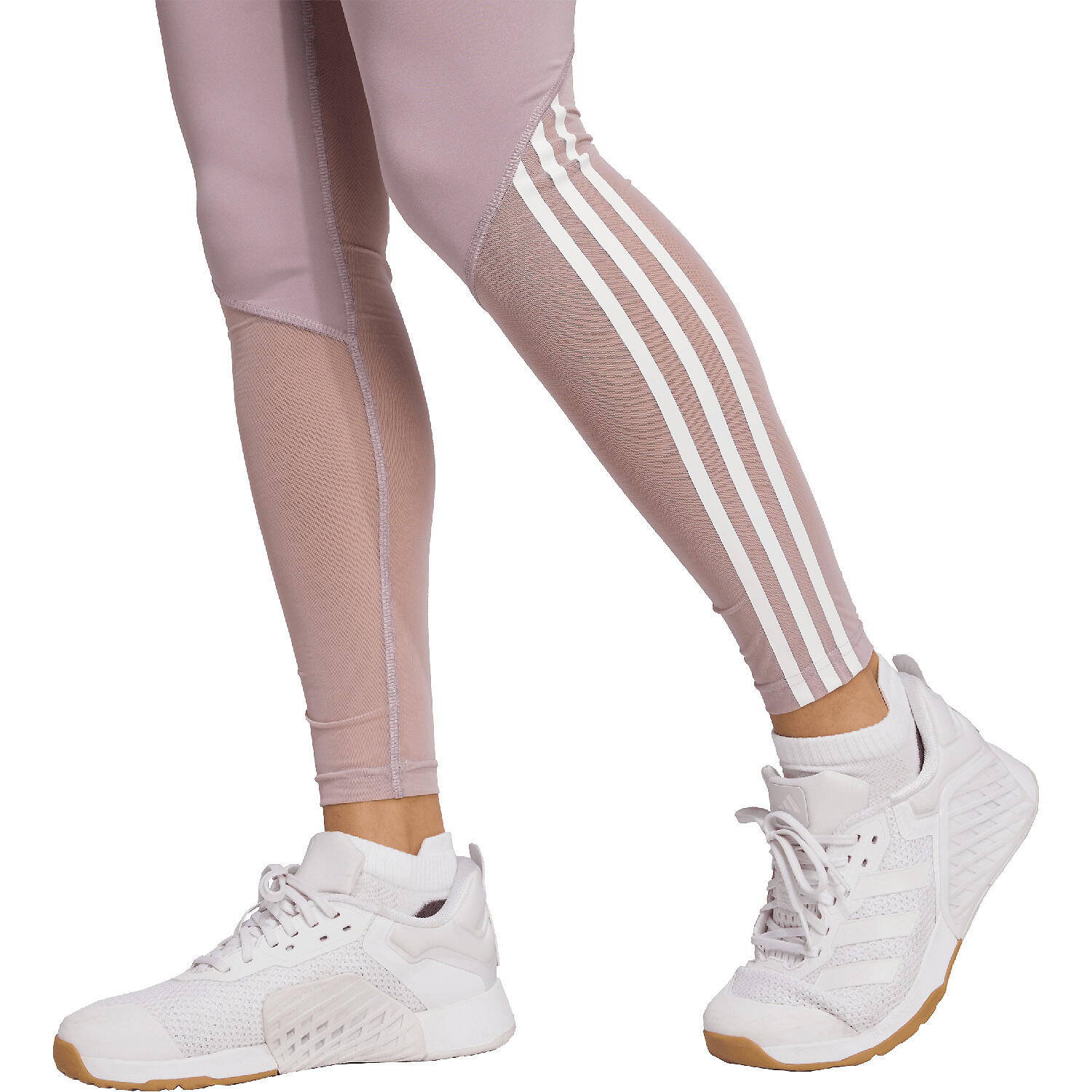 Damen Tight HYGLM 1/1 L 5/5