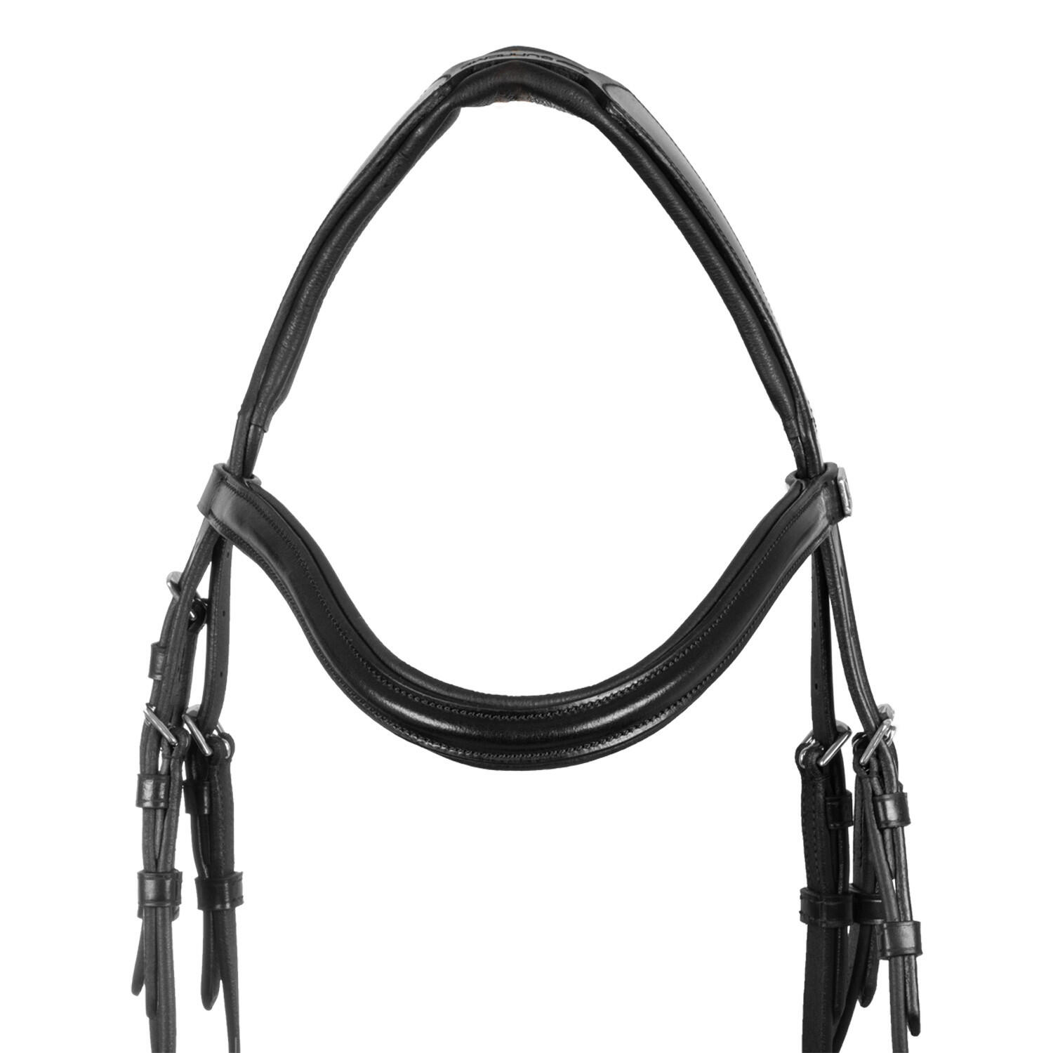 Brida con muserola anatómica y curva 3/7