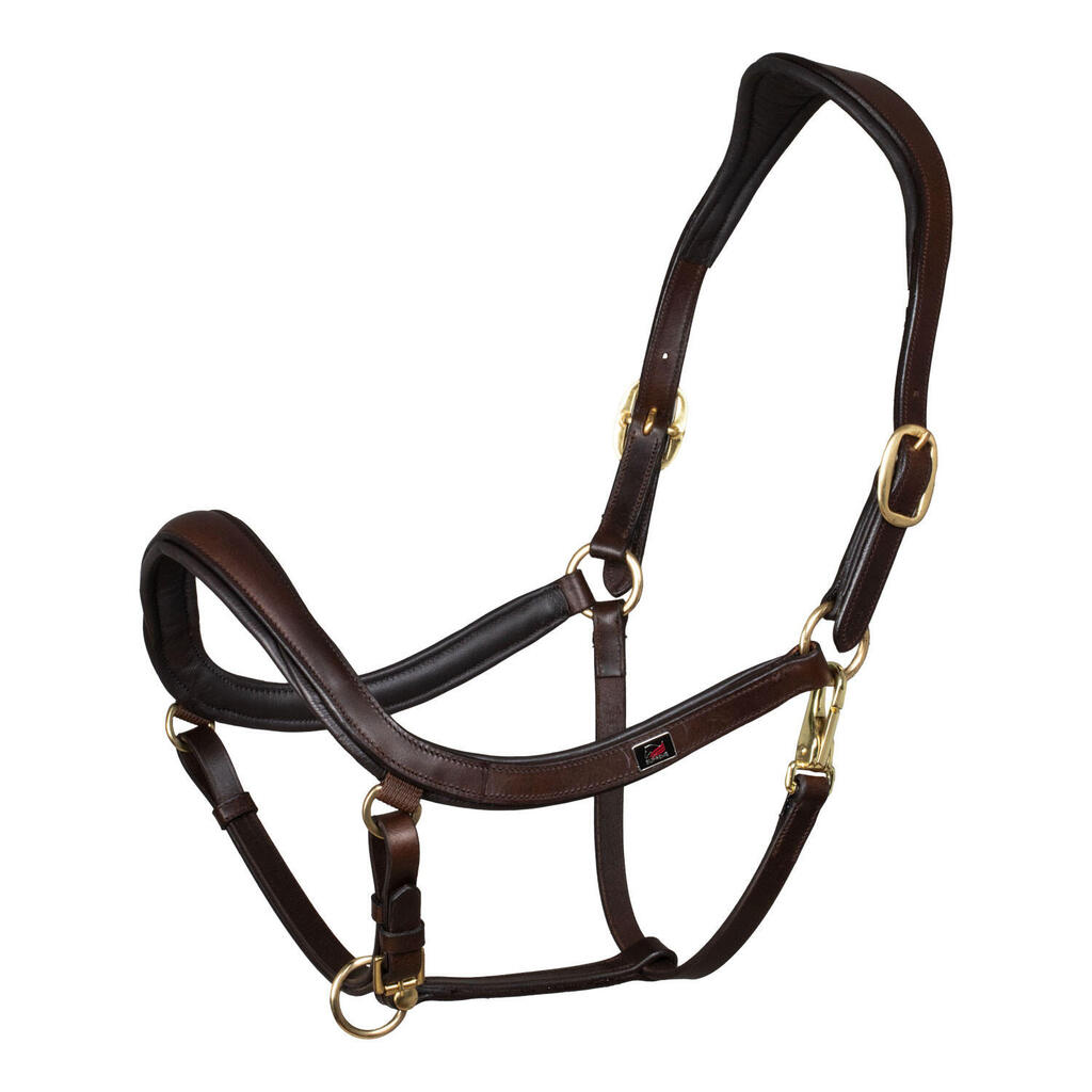 Anatomical leather halter swedish model