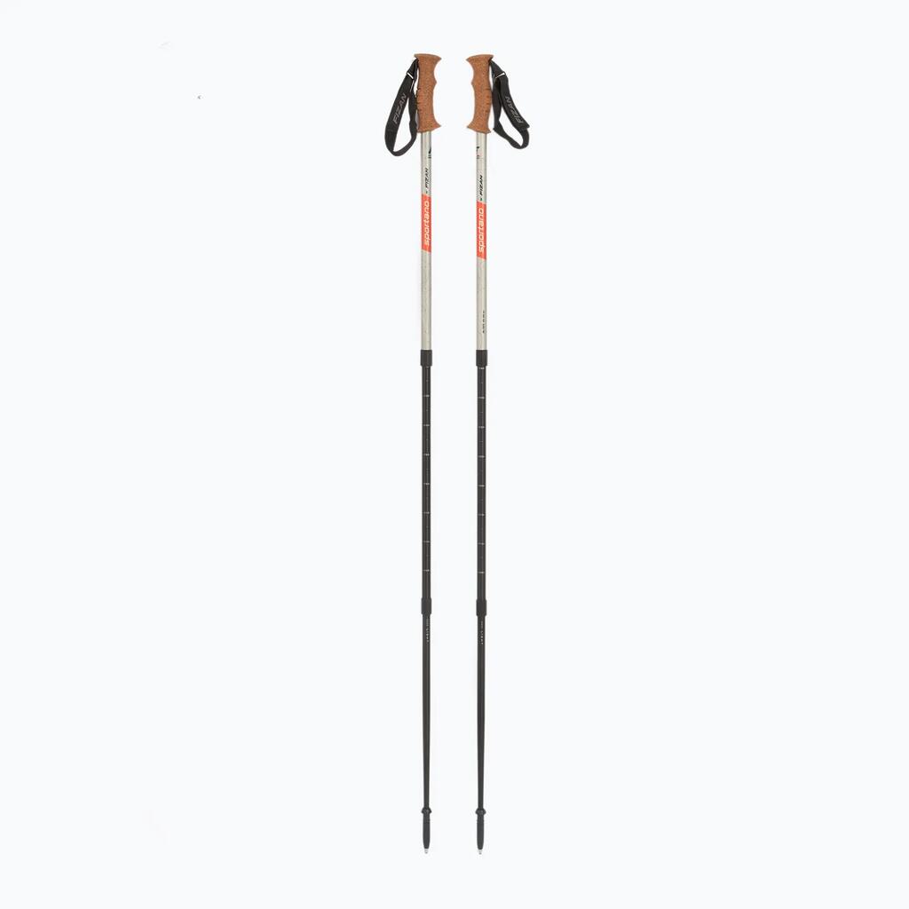 Trekking Poles Fizan Smu Peak