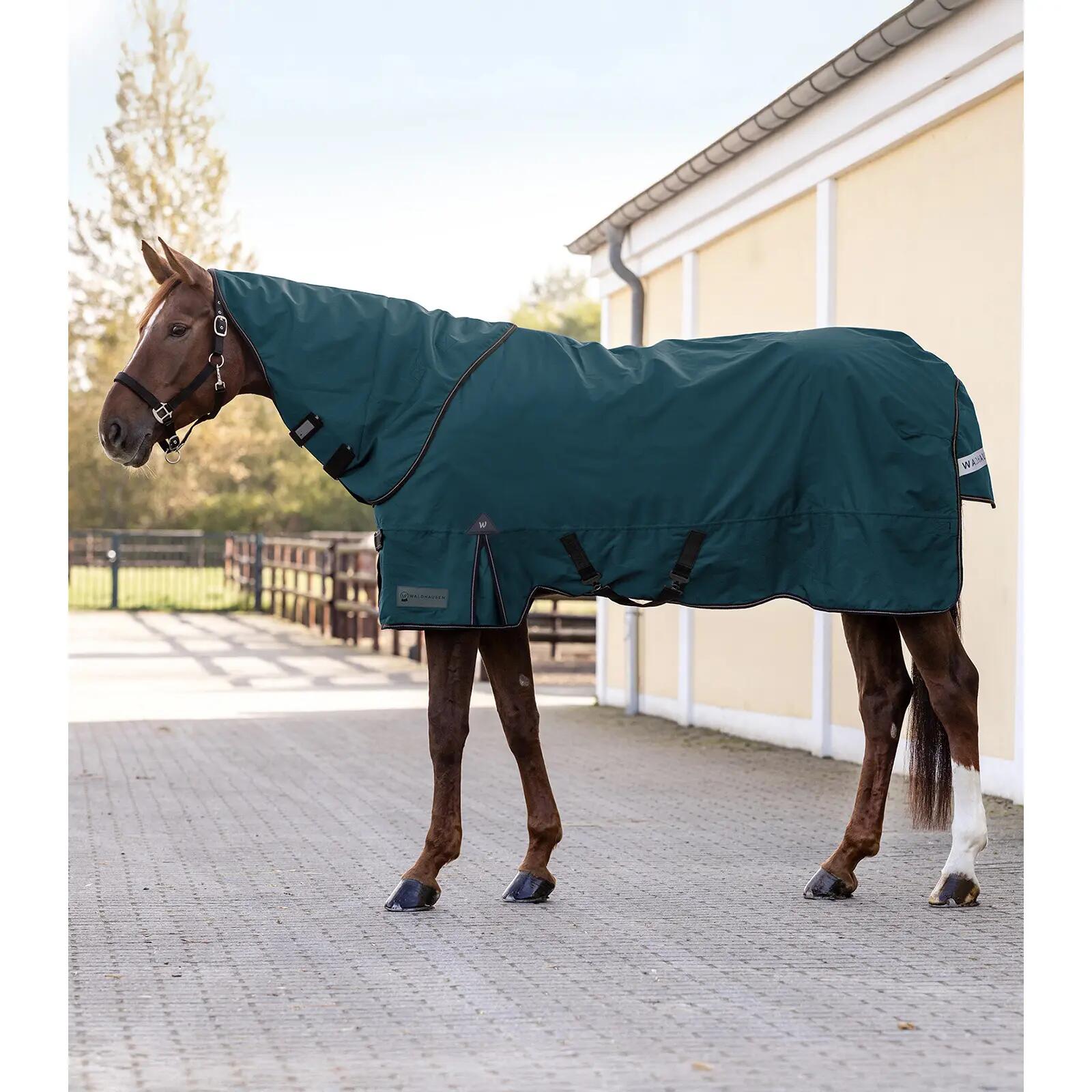 Cubre cuello para caballo Waldhausen 600D 200g 2/2