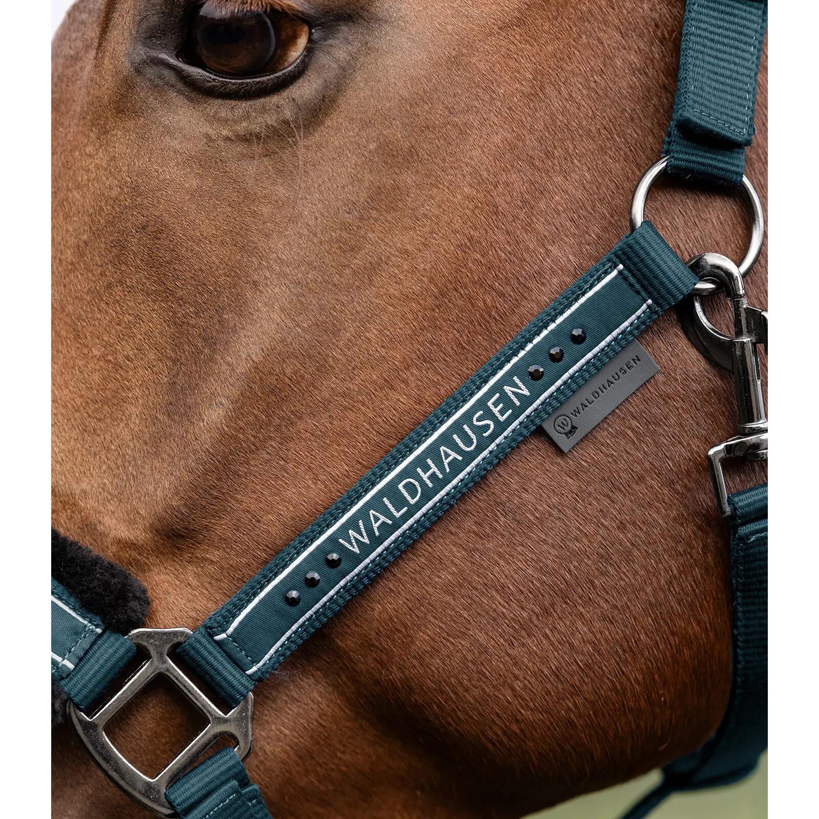 Licol pour cheval Waldhausen Elegant 3/3