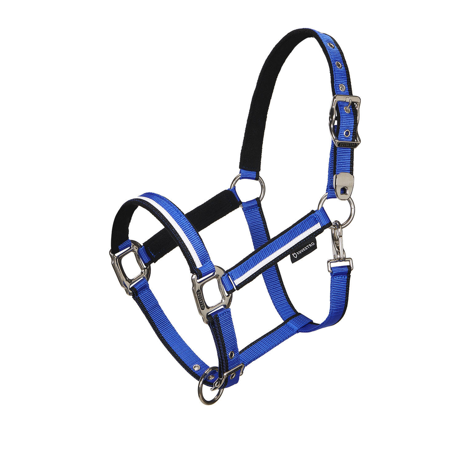 EQUESTRO picture