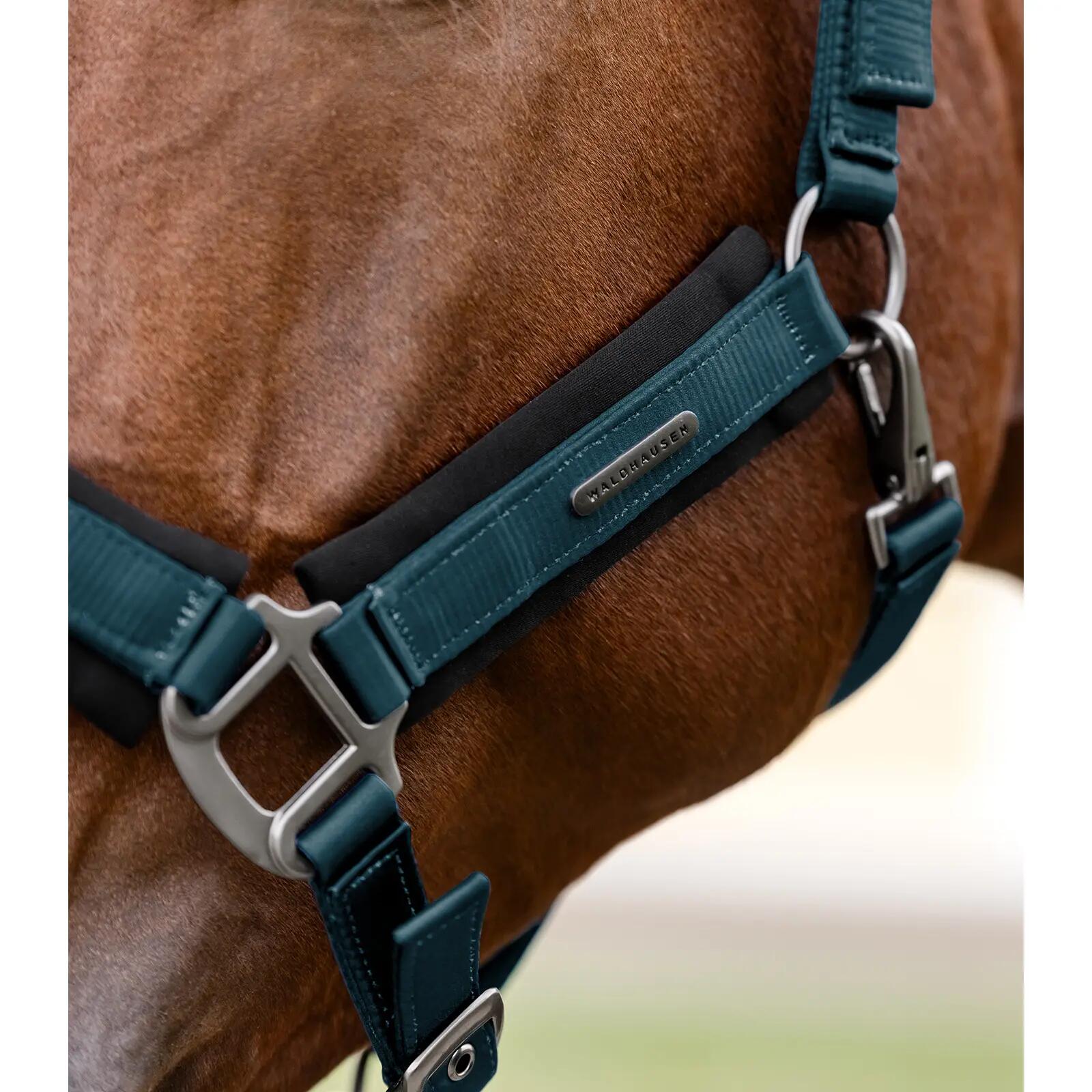 Licol pour cheval Waldhausen Soft Touch 3/3