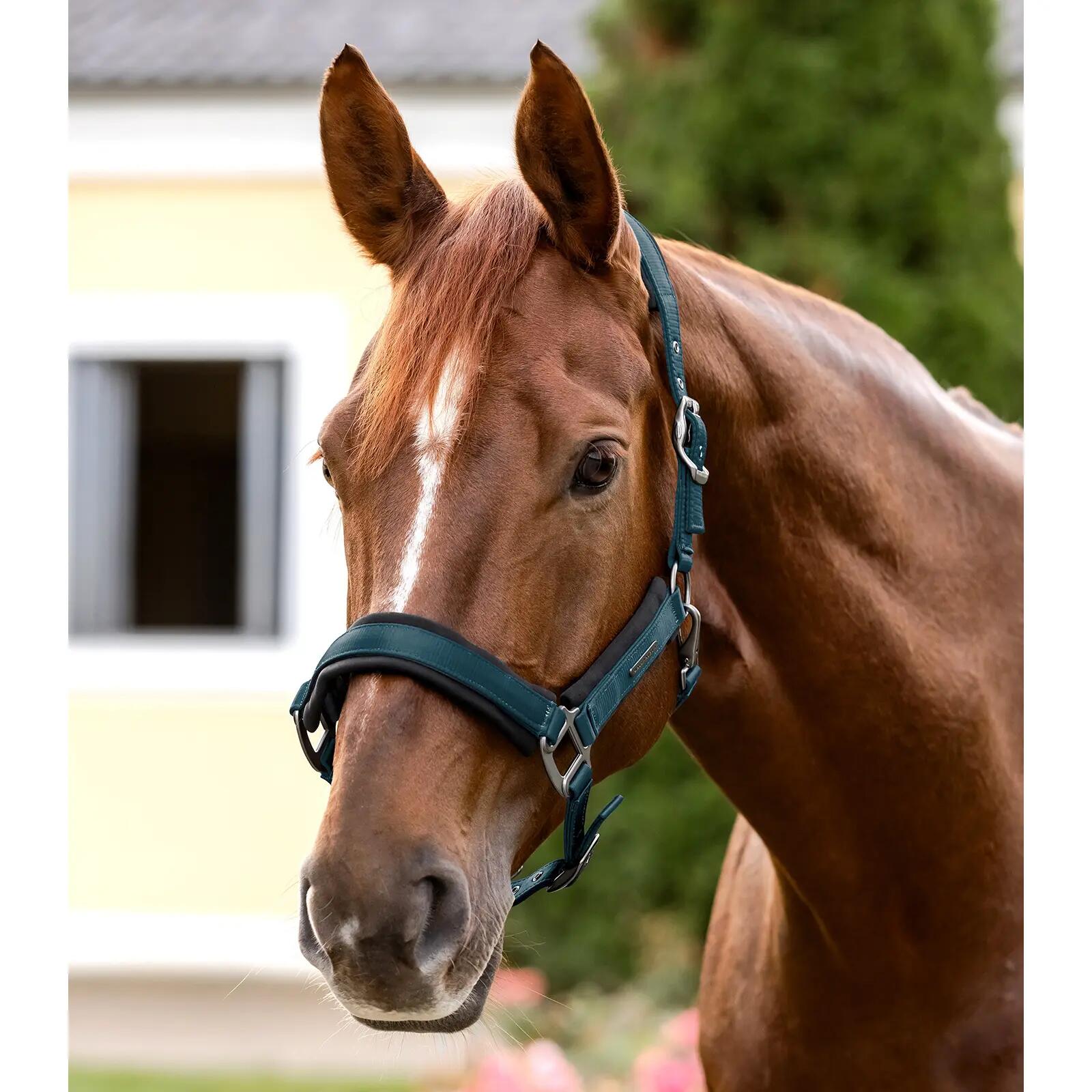 Licol pour cheval Waldhausen Soft Touch 2/3