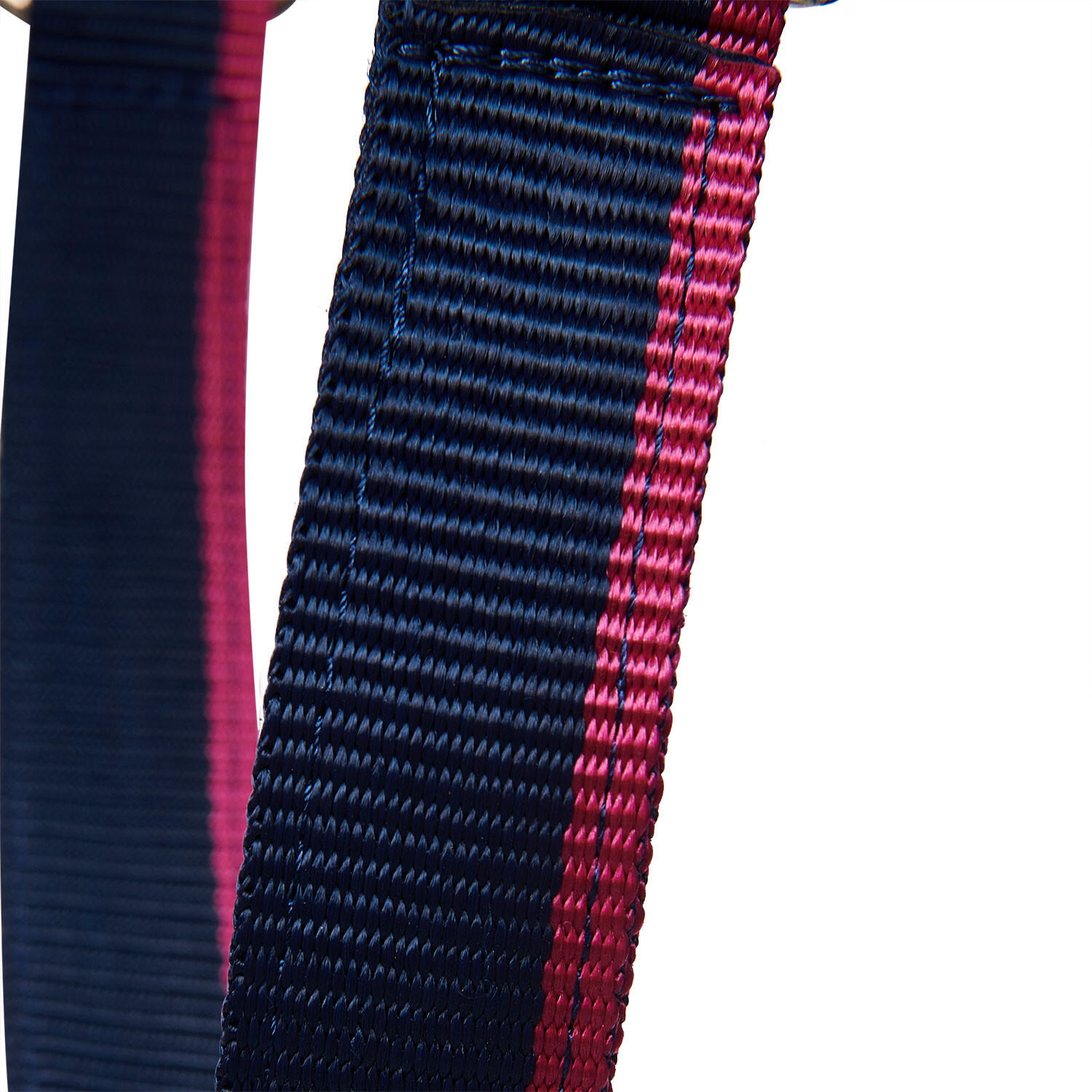 Halter met fleece voering en musketonhaak 5/5