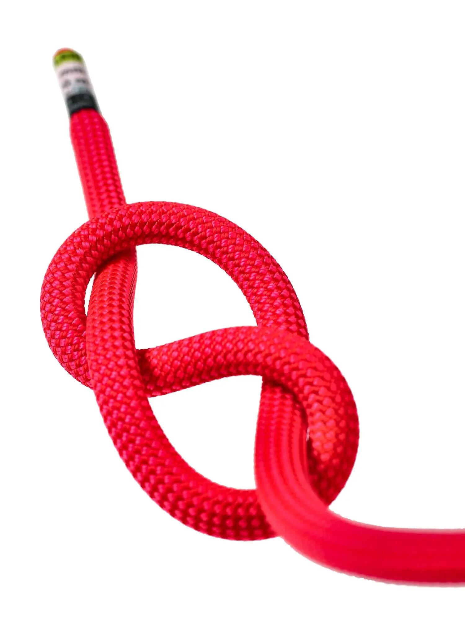 Lina dynamiczna Edelrid Eagle Lite Eco Dry 9,5 mm 60 m - neon coral 6/6