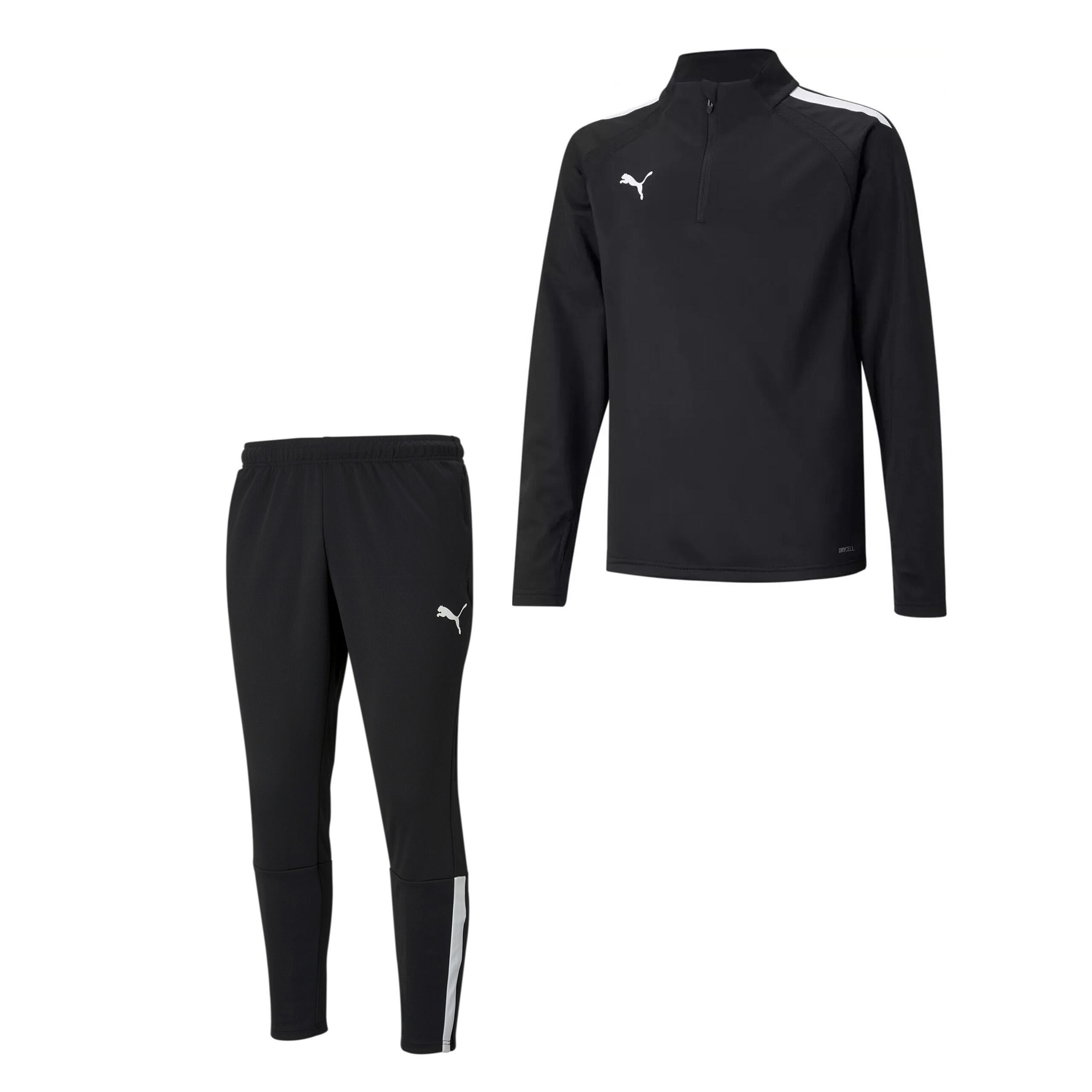 PUMA picture