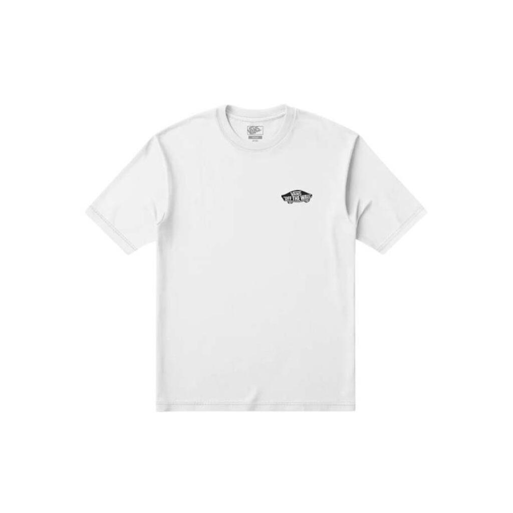 VANS picture