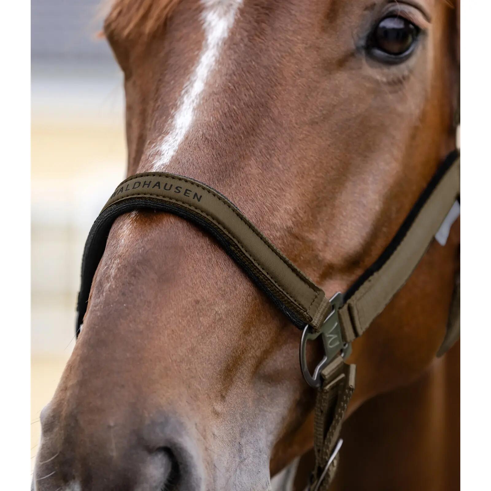 Licol pour cheval Waldhausen Atheltic 3/3