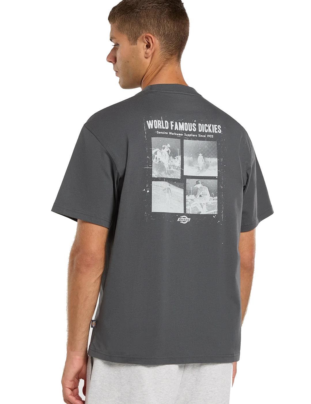 Maglietta da uomo Dickies Wolfhurst grigia. 2/4