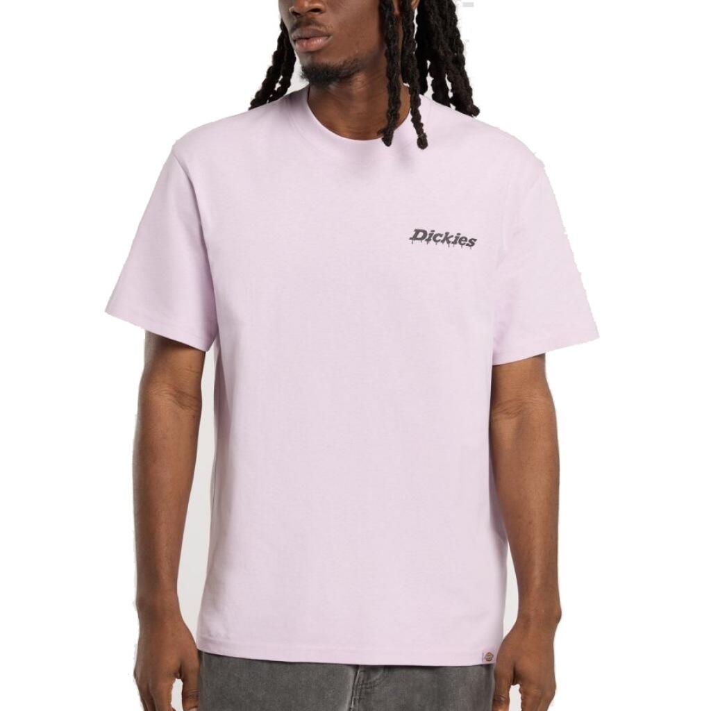 DICKIES picture