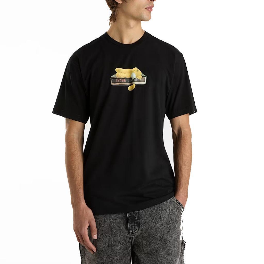 VANS picture
