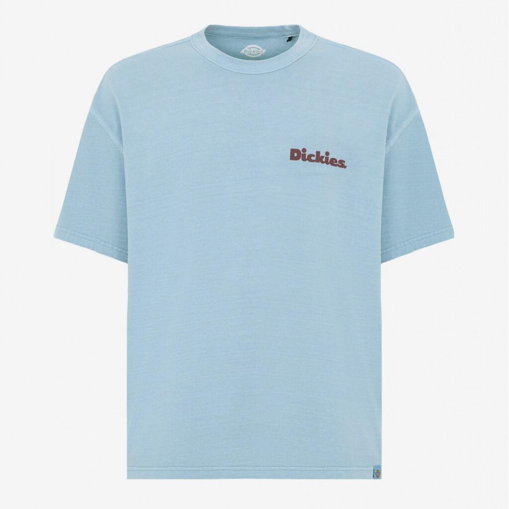 Camisetas Hombre Dickies Slayden Gd 2/5