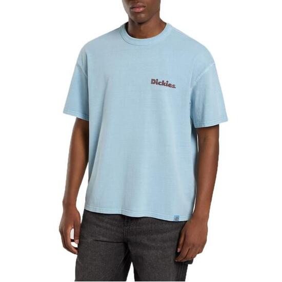Camisetas Hombre Dickies Slayden Gd