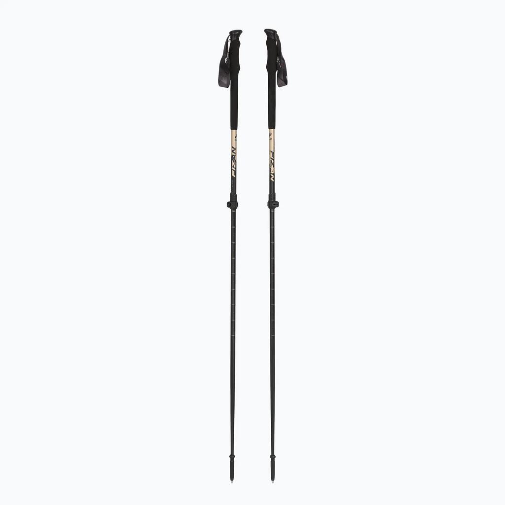 Trekking Poles Fizan Aria