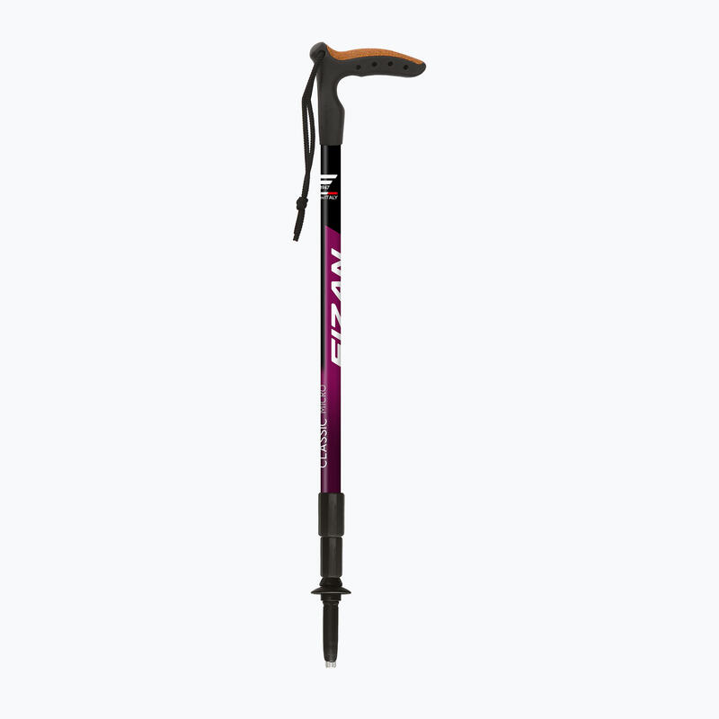 Bețele de nordic walking Fizan Classic Micro