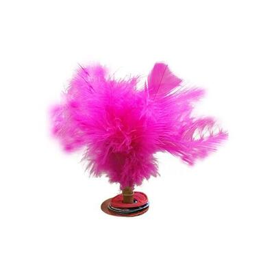 Set van 10 voetbal indiaka's mode-veren