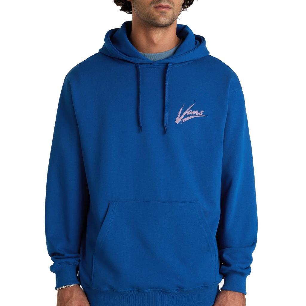 VANS picture